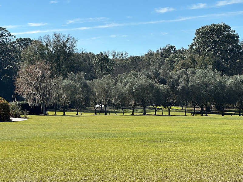 Ocala, Florida